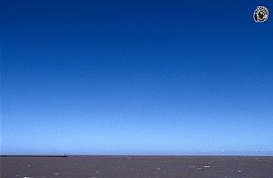 Click image for larger version. 

Name:	avnerbaruch-uruguay.jpg 
Views:	253 
Size:	360.4  
ID:	93039