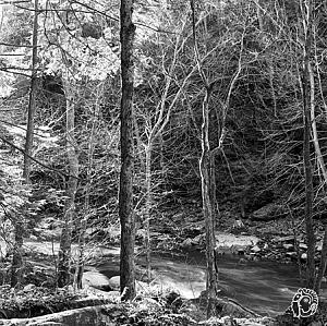 Click image for larger version. 

Name:	avnerbaruch-pittsburgh.jpg 
Views:	251 
Size:	247.9  
ID:	93041