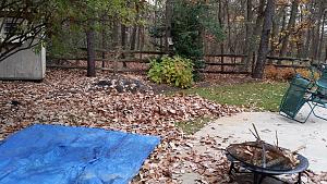 Click image for larger version. 

Name:	20141113_134338.jpg 
Views:	258 
Size:	408.6  
ID:	93591