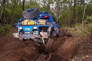 Click image for larger version. 

Name:	back flash.jpg 
Views:	203 
Size:	505.0  
ID:	93621