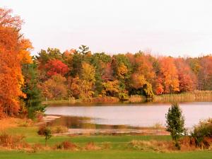 Click image for larger version. 

Name:	national-golf_autumngoldenlake.jpg 
Views:	177 
Size:	196.9  
ID:	93660
