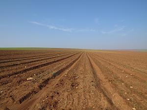 Click image for larger version. 

Name:	IMG_4139.jpg 
Views:	1328 
Size:	493.2  
ID:	93706