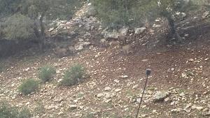 Click image for larger version. 

Name:	2 (Medium).jpg 
Views:	345 
Size:	319.7 קילובייט 
ID:	93708