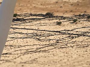 Click image for larger version. 

Name:	 6.jpg 
Views:	474 
Size:	92.7  
ID:	93738