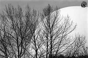 Click image for larger version. 

Name:	avner baruch france.jpg 
Views:	509 
Size:	157.7  
ID:	93886
