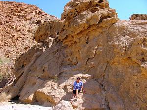 Click image for larger version. 

Name:	IMG_7190 (Medium).JPG 
Views:	317 
Size:	301.7  
ID:	94652