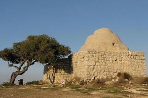 Click image for larger version. 

Name:	.JPG 
Views:	138 
Size:	43.3  
ID:	94679