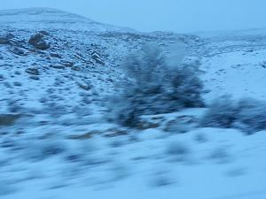 Click image for larger version. 

Name:	unnamed.jpg 
Views:	284 
Size:	120.0  
ID:	95003