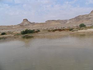 Click image for larger version. 

Name:	IMG_1451.jpg 
Views:	205 
Size:	315.2  
ID:	95664