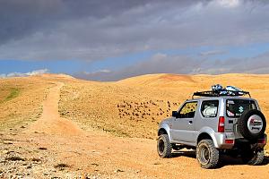 Click image for larger version. 

Name:	DSC_0301.JPG 
Views:	300 
Size:	185.8  
ID:	96538