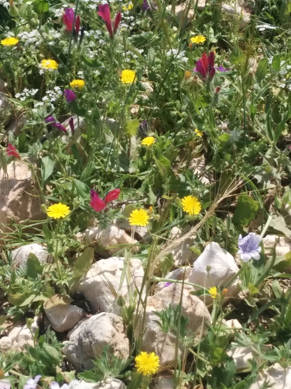 Name:   .jpg
Views: 1242
Size:  245.3 