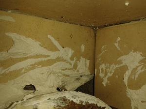 Click image for larger version. 

Name:	 .jpg 
Views:	167 
Size:	221.7  
ID:	97018