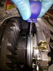 Click image for larger version. 

Name:	qwqw4.JPG 
Views:	314 
Size:	173.9  
ID:	97376