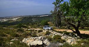 Click image for larger version. 

Name:	DSC_0380.jpg 
Views:	404 
Size:	462.4  
ID:	98871