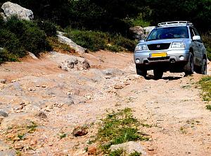 Click image for larger version. 

Name:	DSC_0375 (22).jpg 
Views:	380 
Size:	437.9  
ID:	98875