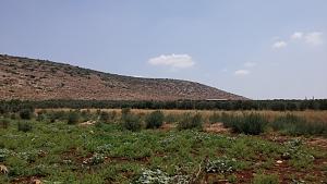 Click image for larger version. 

Name:	2.jpg 
Views:	254 
Size:	188.9  
ID:	99516