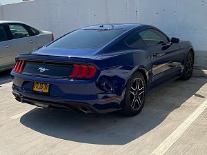 Click image for larger version. 

Name:	mustang.jpg 
Views:	75 
Size:	543.3  
ID:	138406