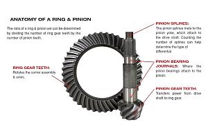 Click image for larger version. 

Name:	ring-and-pinion-anatomy.jpg 
Views:	416 
Size:	136.0  
ID:	119938