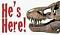 T-REX's Avatar